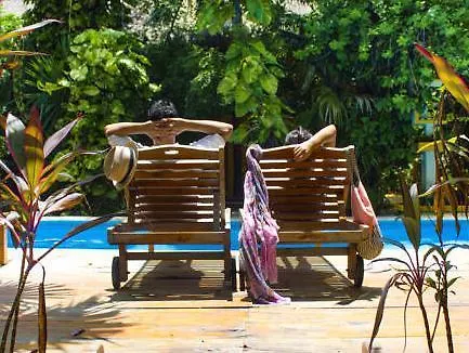 Koox City Garden Hotel بلايا ديل كارمن 3*,  المكسيك