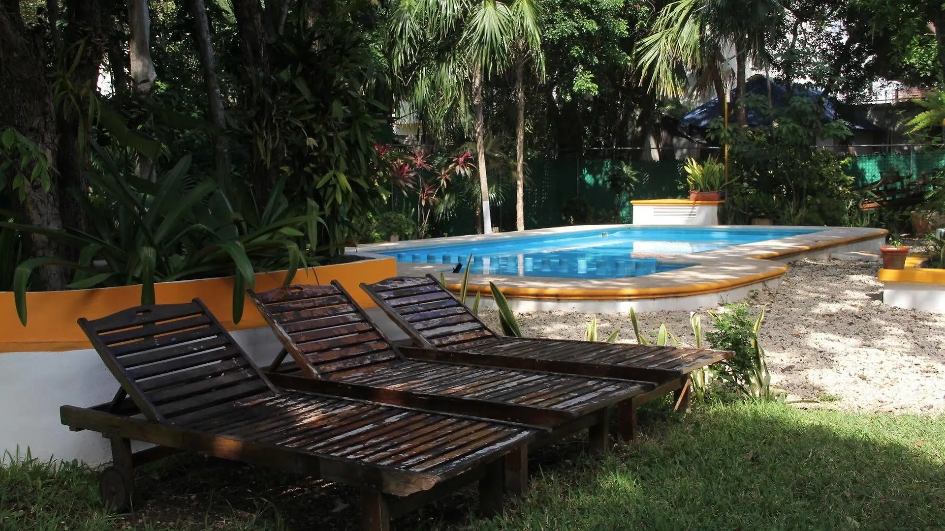 Koox City Garden Hotel بلايا ديل كارمن 3*,