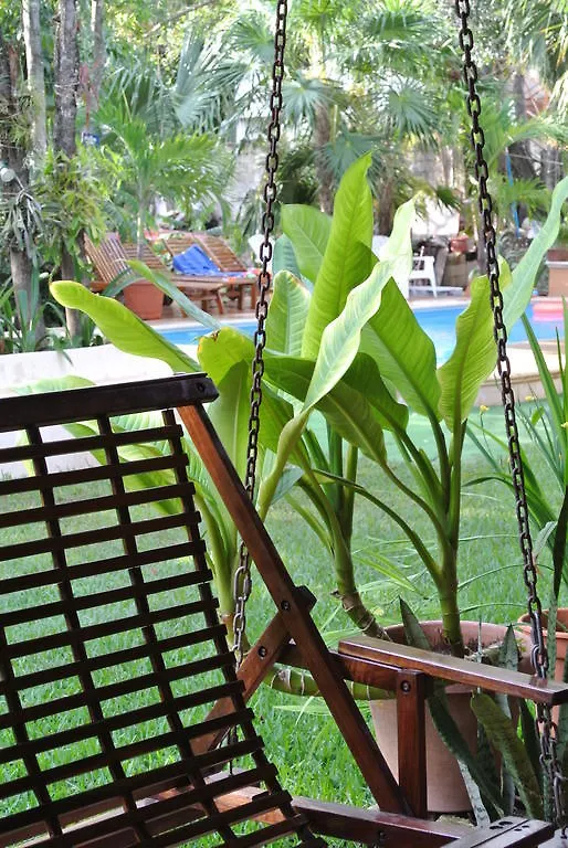 Koox City Garden Hotel بلايا ديل كارمن المكسيك