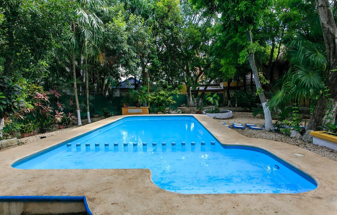 Koox City Garden Hotel بلايا ديل كارمن 3*,  المكسيك