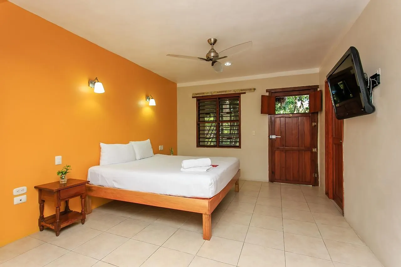 Koox City Garden Hotel Playa del Carmen