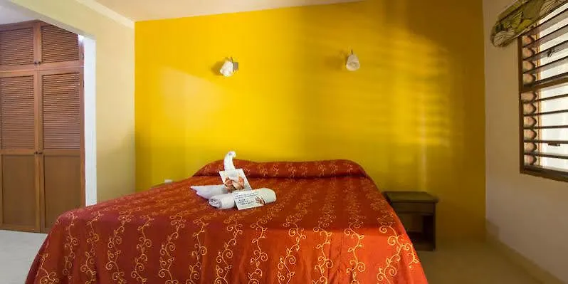 Koox City Garden Hotel Playa del Carmen 3*,  México